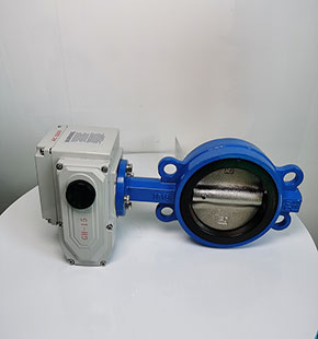 D971X電動對夾式蝶閥-電動對夾軟密封蝶閥